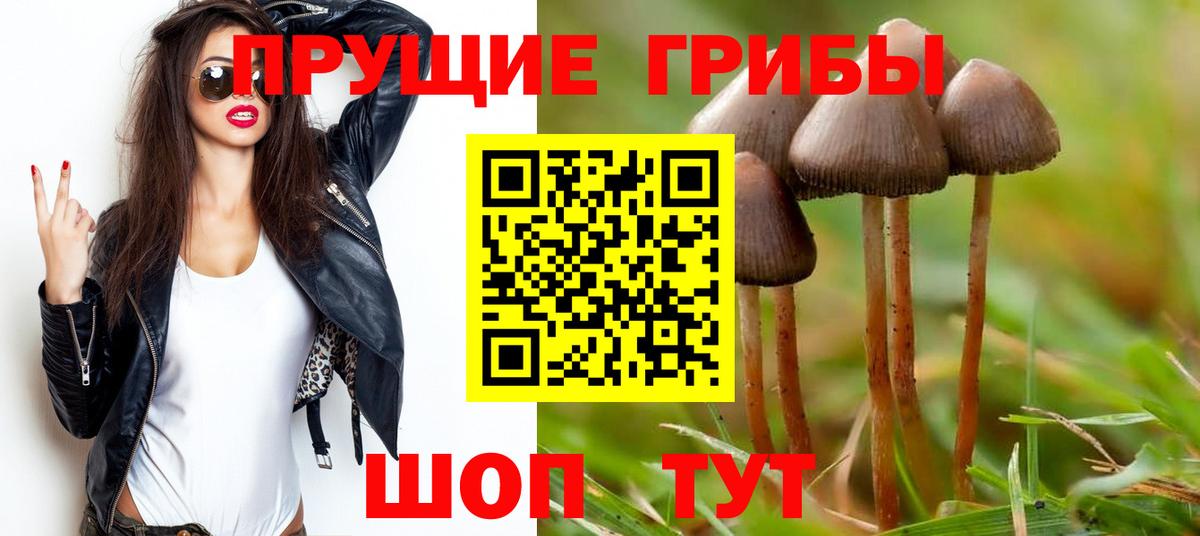 Псилоцибиновые грибы Cubensis Ялуторовск